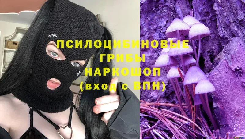 Псилоцибиновые грибы Psilocybe  OMG онион  Асино 